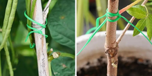 Lade das Bild in den Galerie-Viewer, Pflanzendraht 100m