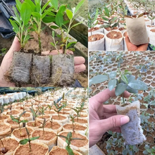 Lade das Bild in den Galerie-Viewer, Anzuchtbeutel | 100 Stück