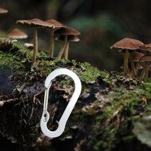 Lade das Bild in den Galerie-Viewer, Mini Karabiner || 6 Stück