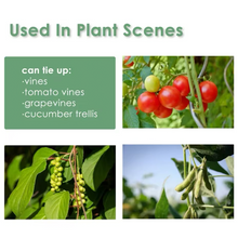 Lade das Bild in den Galerie-Viewer, Pflanzenklett | ab 5 Meter