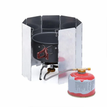 Lade das Bild in den Galerie-Viewer, Windschutzscheibe | 8 Platten