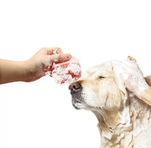 Lade das Bild in den Galerie-Viewer, Bürste