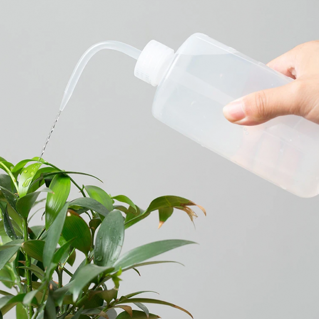 HGL | Gießflasche