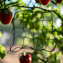 Lade das Bild in den Galerie-Viewer, Scrog Netz 40x40cm schwarz mit 4 Haken für Pflanzen
