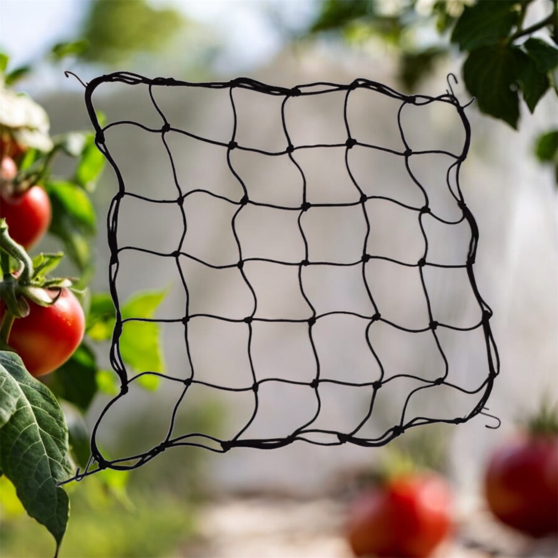 Scrog Netz 60x60cm mit Haken - Pflanzennetz