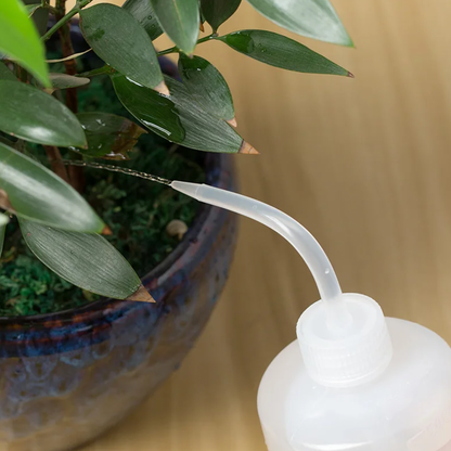HGL | Gießflasche