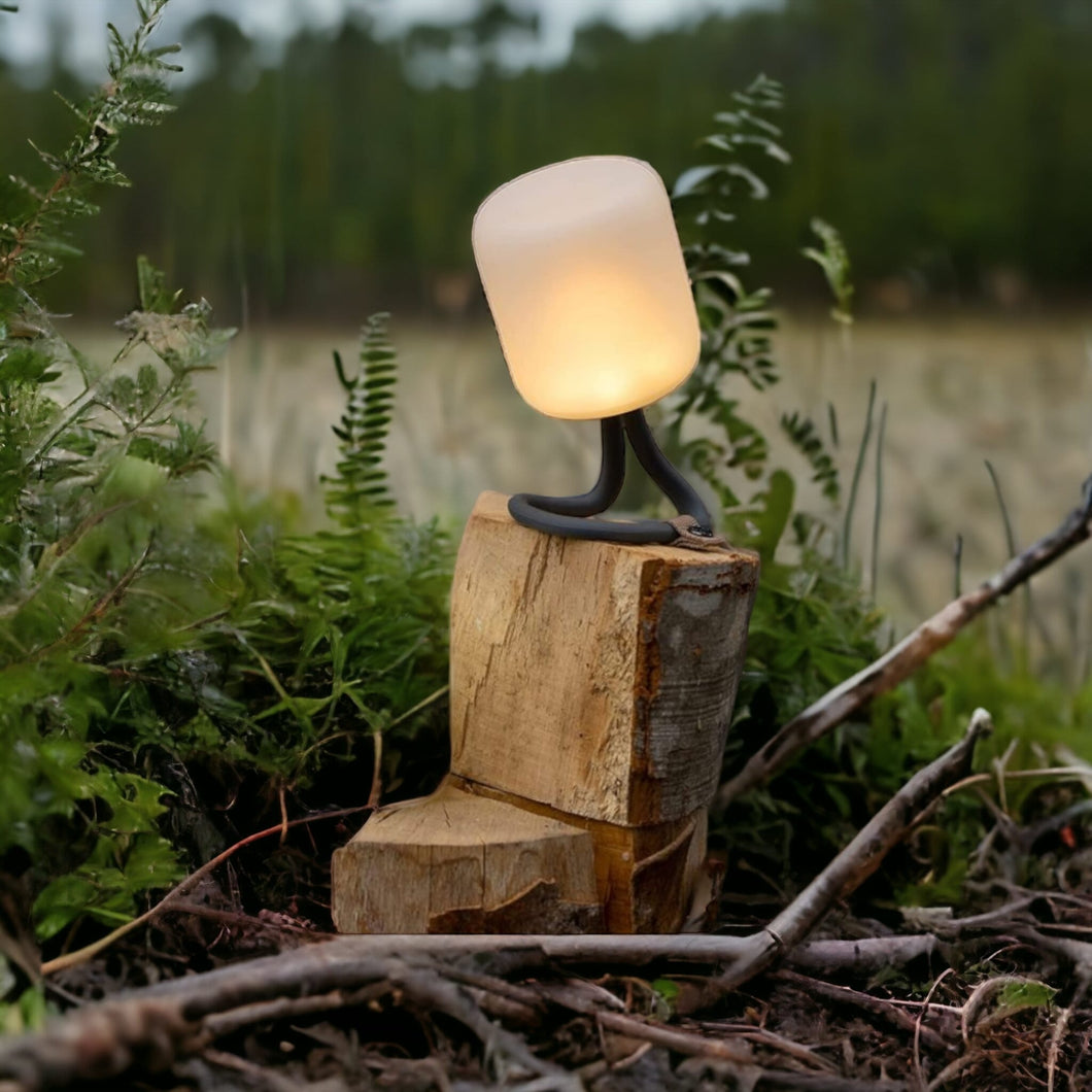 Outdoor-/Campinglampe