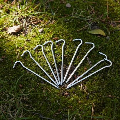 Zeltheringe auf dem Boden