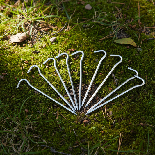 Zeltheringe auf dem Boden